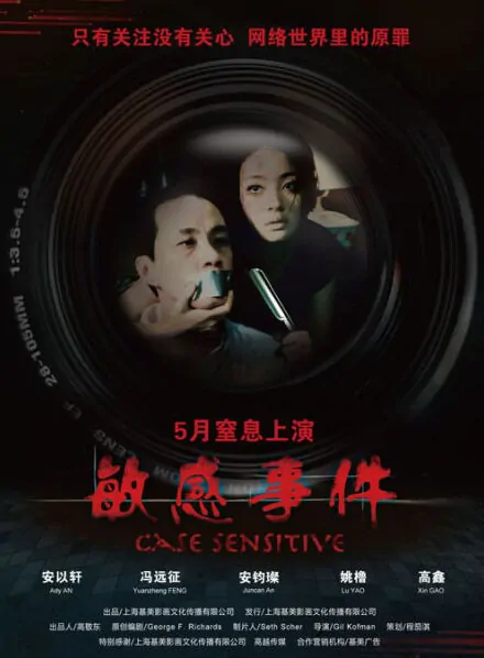 Case Sensitive Movie Poster, 2011