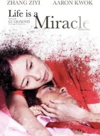 Life Is a Miracle Movie Poster, 2011
