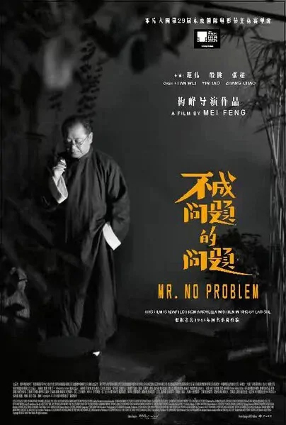 Mr. No Problem Movie Poster, 2016 Chinese film