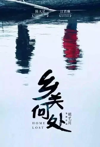 Home Lost Movie Poster, 2017 Chinese movie