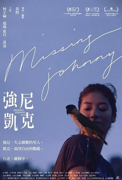 Missing Johnny Movie Poster, 2017 Taiwan film