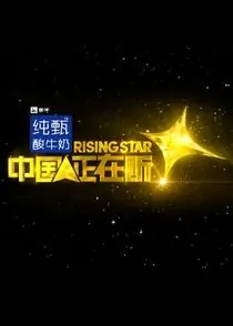 Rising Star Poster, 2014 Chinese TV show