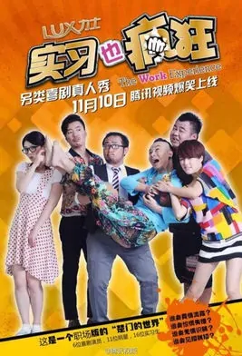 The Work Experience 2014 Poster, 2014 Chinese TV show