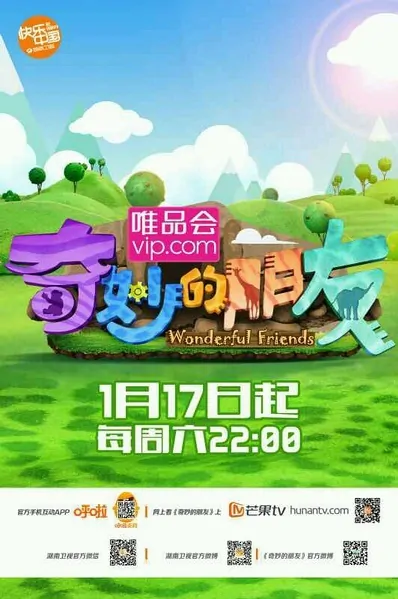 Wonderful Friends Poster, 2015 Chinese TV show
