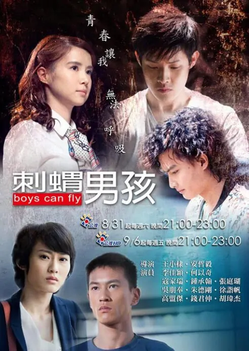 Boys Can Fly Poster, 2013