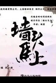 Right on the Wall Poster, 双生神捕之墙头马上 2024 Chinese TV drama series